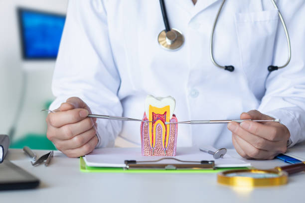 Best Emergency Denture Repair in Sanford, NC